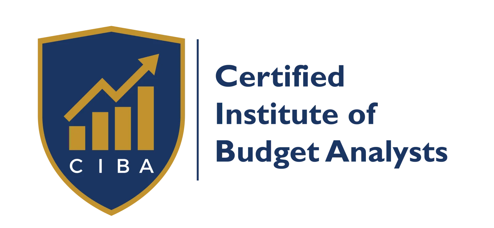 Certified Institute of Budget Analysts